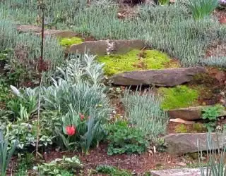 Небольшие ступени декорированы мхом а по краям