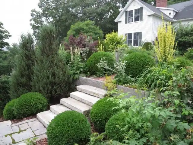Крупные растения способны подчеркнуть ступени и в тоже время скрыть перепад высот