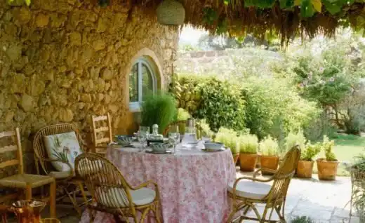 Пенстемон бородатый