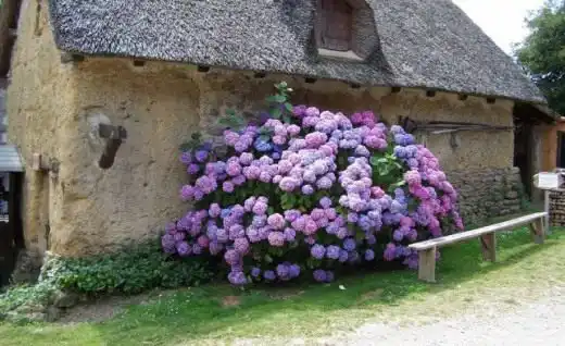 "А-la Provence" на