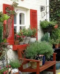 Горшечный садик