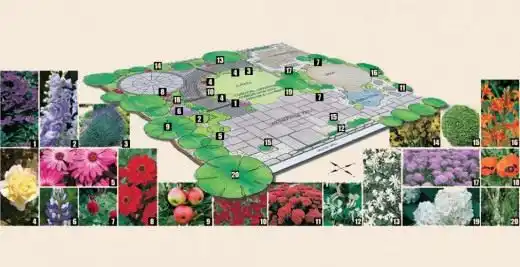 Дендрологический план-схема участка