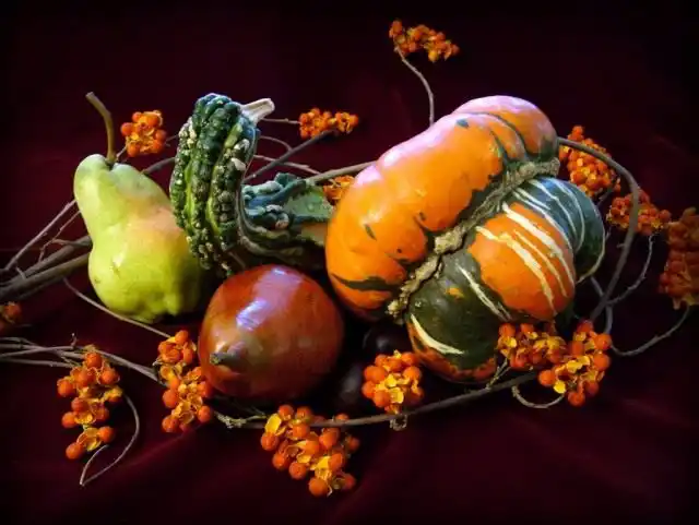 Осенний урожай