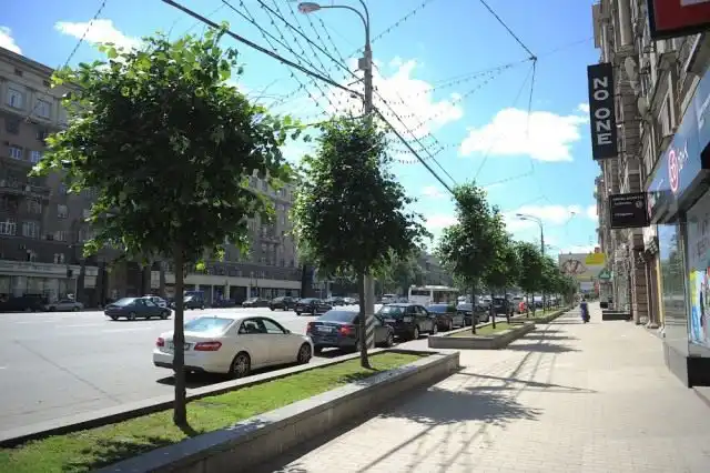 Київ, Озеленение Кутузовского проспекта