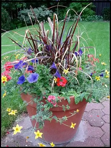 Выберите элемент который будет привлекать внимание