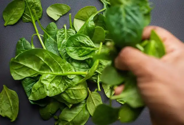 Сейчас шпинат выращивают в рамках эксперимента "Veggie" как часть рациона для затяжных космических полётов.