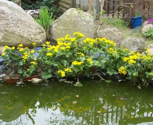 Искусственный водоем