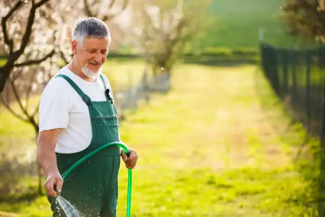 Не забывайте поливать газон по мере необходимости, только так можно сохранить его шикарный внешний вид.