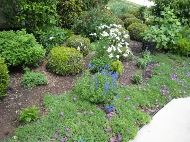 Цветник (Flower garden)