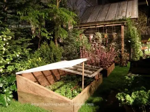 Деревенский сад