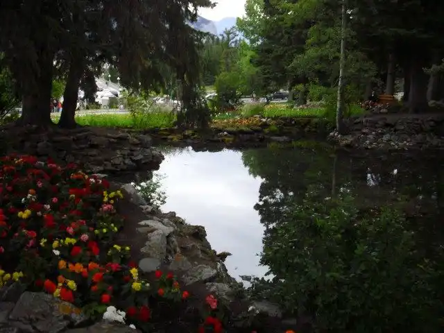 Цветник в тени