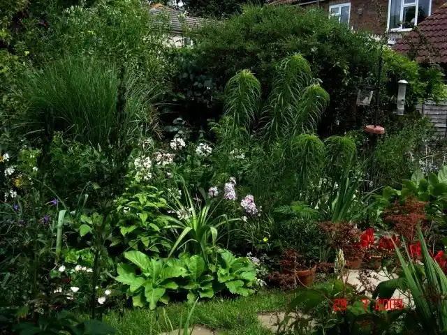 Цветник в тени