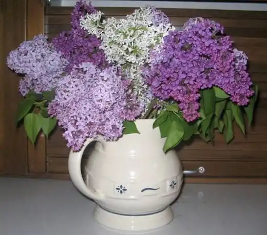 Сирень в вазе