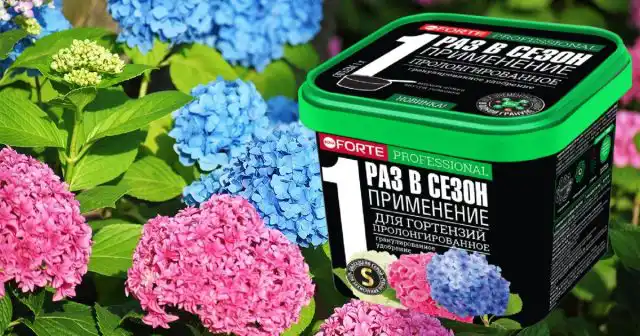 Пролонгированное удобрение Bona Forte для гортензий в гранулах содержит все нужные кустам питательные вещества, в том числе, витамины, микроэлементы в хелатной форме и янтарную кислоту, как эффективный стимулятор.