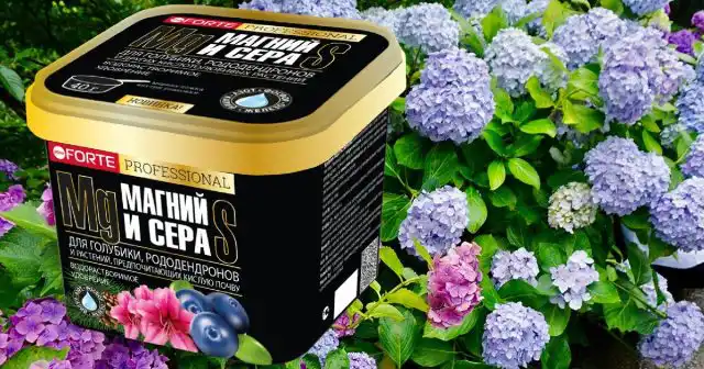 Водорастворимый комплекс Bona Forte для рододендронов, голубики и других кислотолюбивых растений с серой и магнием - это источник полного набора необходимых питательных веществ, и профилактическое средство против любых хлорозов.