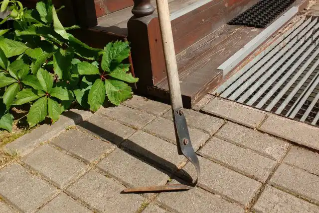 Плоскорез позволяет работать стоя, им удобно удалять не только сорняки из щелей, но и землю, скопившуюся у бордюров.