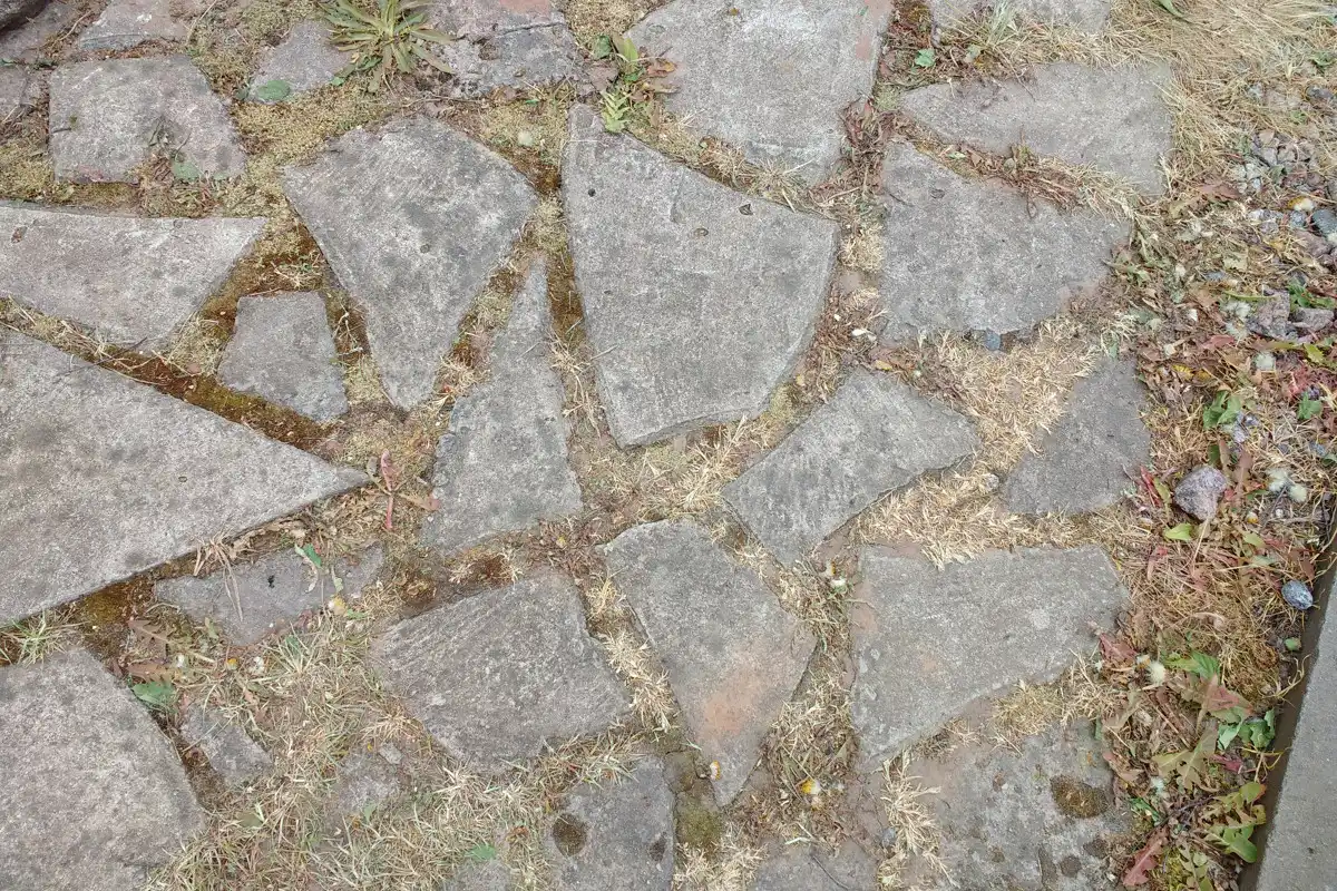 Обработка гербицидом — наиболее эффективный метод, но для этого способа чистки нужно запастись терпением на два этапа.