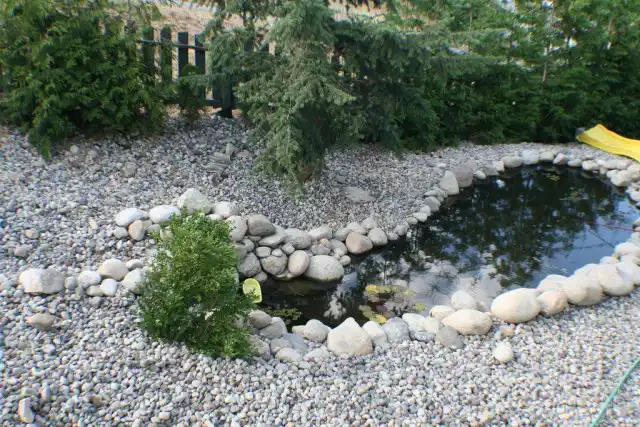 Декоративный водоём