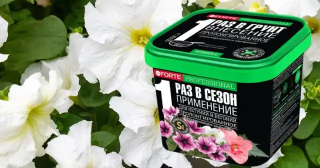 Если вредители были отмечены на растениях, необходимо сразу же, не затягивая, провести обработку спреем Bona Forte.