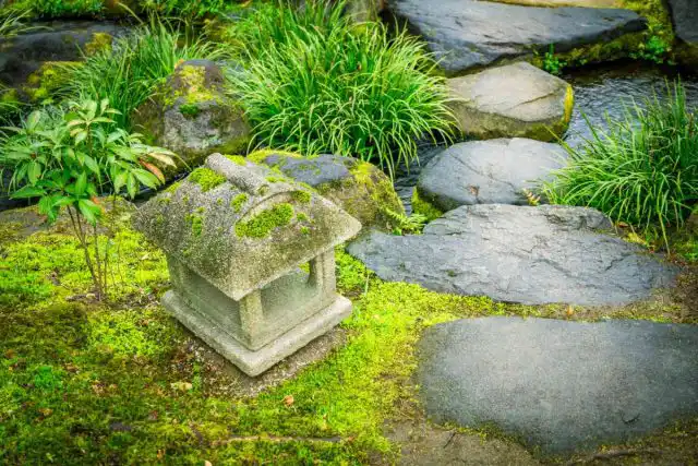 Каменные или кирпичные поверхности, поросшие мхом, смотрятся очень декоративно и атмосферно