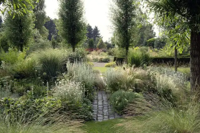 Самый быстрый способ придать участку слегка «запущенный» вид – использование злаков и высокорослых травянистых многолетников