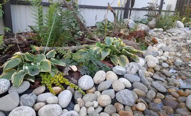 После дождя сухой ручей немного побудет «речкой», потом вода из него будет постепенно испарятся, создавая благоприятный микроклимат для влаголюбивых цветов.