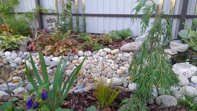 В моем ручье есть и круглые, и угловаты камушки как в природе