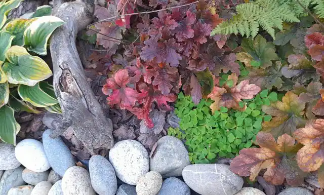 Среди растений по берегам я положила сухие ветви, этот прием я подсмотрела в природе