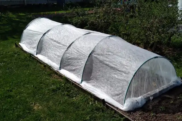 Простые парнички легко собираются из укрывного материала, садовых дуг и зажимов