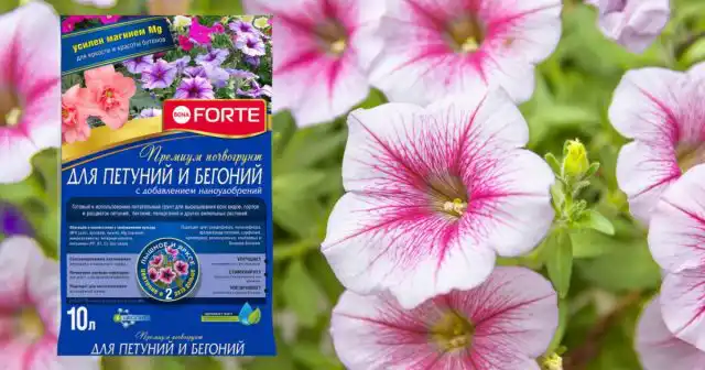 Премиум почвогрунт Bona Forte для петуний, бегоний и пеларгоний