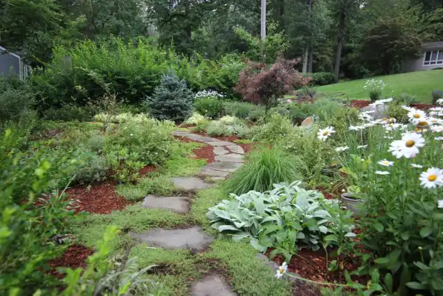 Пейзажный сад имитирует дикую природу с ее плавными очертаниями и формами, «дикими» травами и цветами, природными оттенками, текстурами и материалами