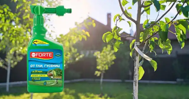 В линейке продуктов Bona Forte для обработки сада от вредителей есть крайне удобное в использовании средство в канистре с эжектором