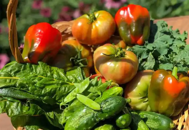 В качестве альтернативы, рассчитайте время, чтобы овощи еще не были готовы к уборке, пока вы не вернетесь.