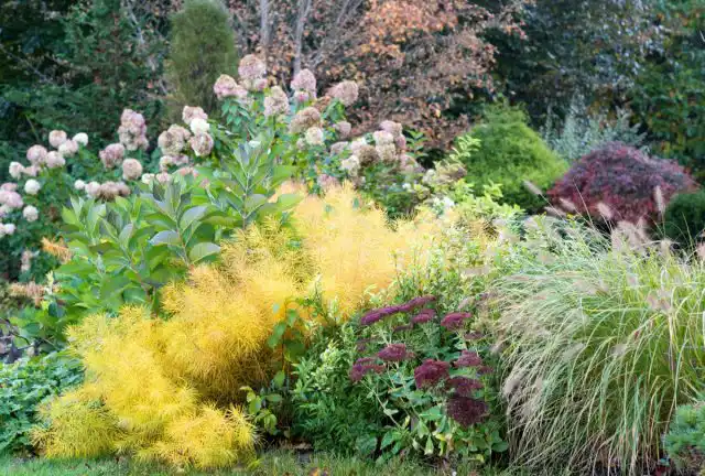 Большую часть информации о мире мы получаем, именно разглядывая то, что нас окружает: цвета, формы, свет и тени