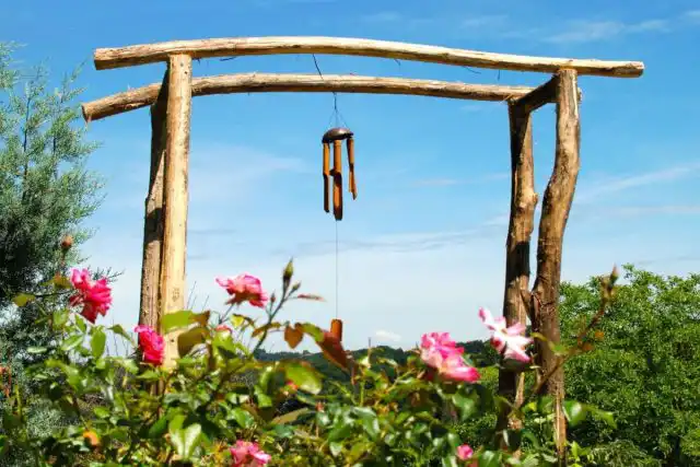 Познавать мир нам помогает не только глаза, но и слух