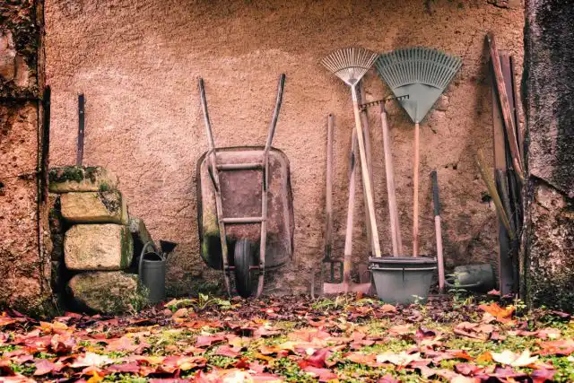 В ноябре завершается предзимняя генеральная уборка: очистка и смазка инструмента, консервация оборудования, уборка поливочных систем