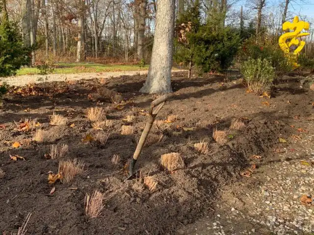 Обрезка в зиму травянистых многолетников - на усмотрение владельца сада