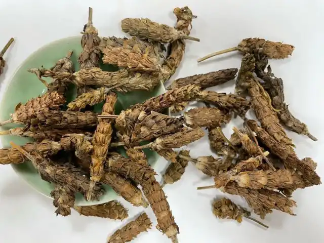 Современные исследования доказали, что прунелла обладает лекарственными свойствами