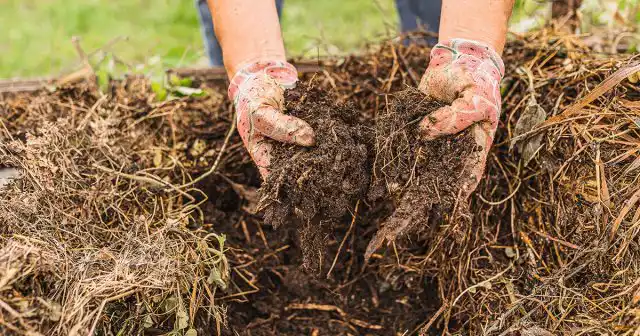 К подготовке посадочных мест подходим так же ответственно и по тем же правилам, что и весной