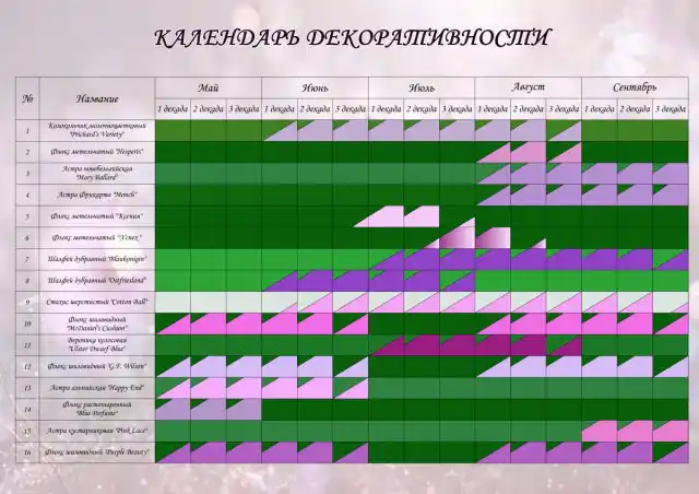 Календарь декоративности