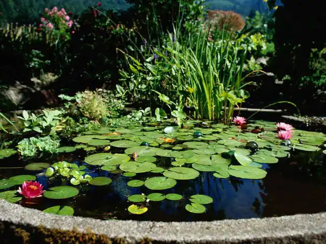 Установка водоема схожа по смыслу с установкой наружного кондиционера в своем дворе.