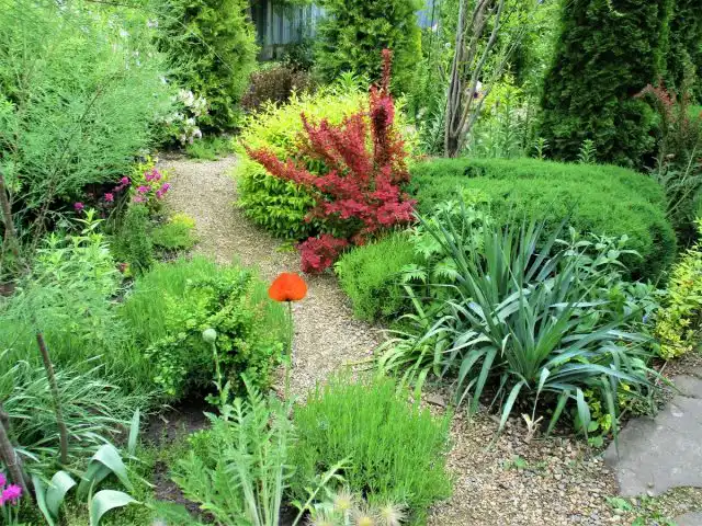 Вы можете создать иллюзию таинственного пространства с помощью растений.