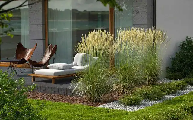 Воздушные «прозрачные» декоративные травы позволят свету проникать, без необходимости прятаться за густыми кустами.