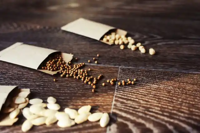 Январь для садоводов - это загаженная рассылками садовых центров почта. Каталоги с невероятным количеством новинок, которые хочется посадить у себя сразу все