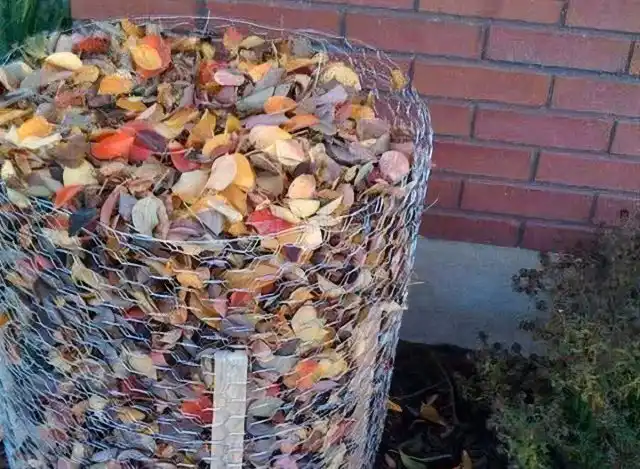 Большинство способов защиты начинаются с ограждения куста гортензии