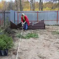 Чтобы «забор» у нас получился красивым и ровным сначала нужно его распланировать. Для этого натягиваем шнур и по нему уже отмечаем места под посадочные ямы