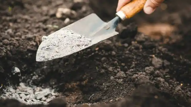 Помимо органики, золы и других удобрений пионам в посадочную яму полезно добавить стакан смеси для снижения кислотности почвы