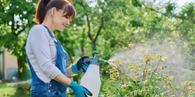 В мае важно обработать растения на ваших грядках, укрепить их иммунитет и избавиться от незваных гостей.
