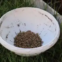 Укладываем на дно ёмкости слой дренажа (керамзит)