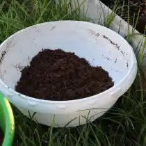 Заполняем горшок, примерно, наполовину специальным цветочным грунтом